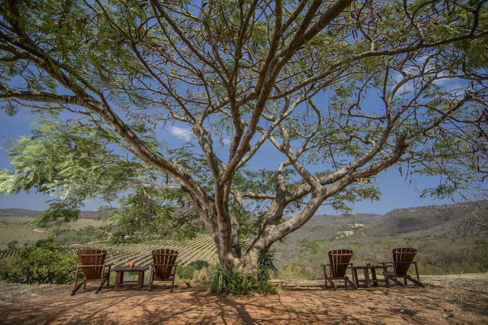 Abangane Guest alojamiento Hazyview Exterior foto