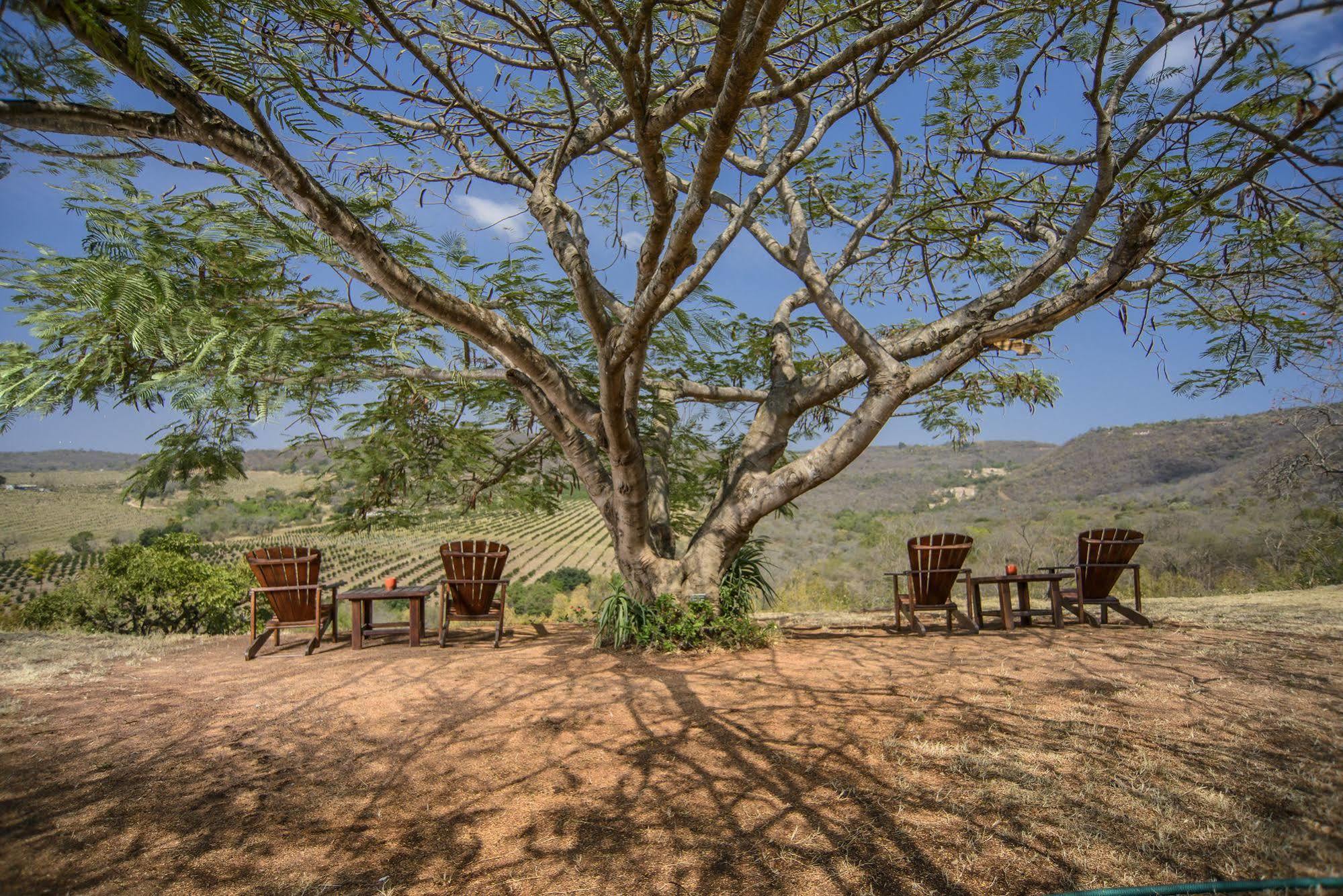Abangane Guest alojamiento Hazyview Exterior foto